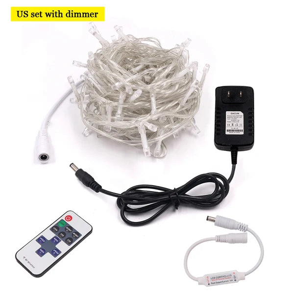 LED Outdoor Christmas Lights