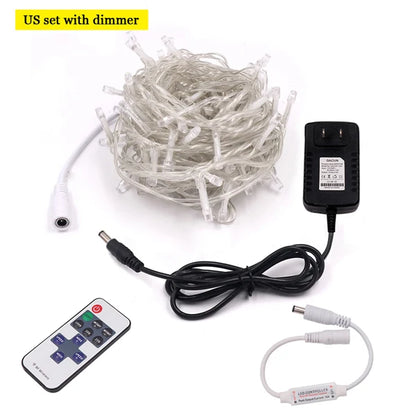 LED Outdoor Christmas Lights