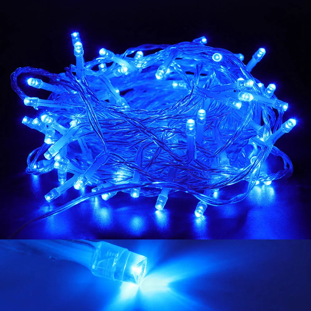 LED Outdoor Christmas Lights
