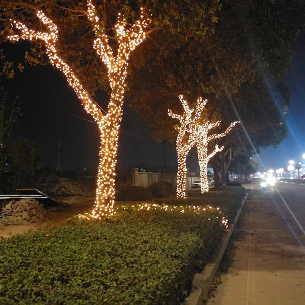 LED Outdoor Christmas Lights