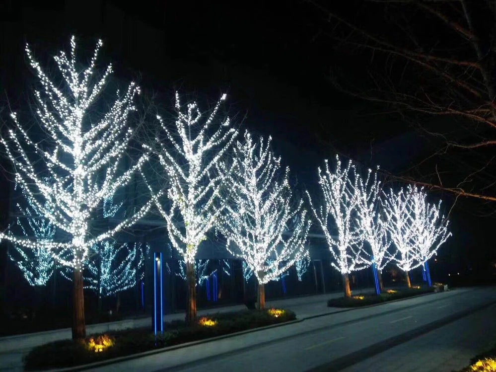 LED Outdoor Christmas Lights