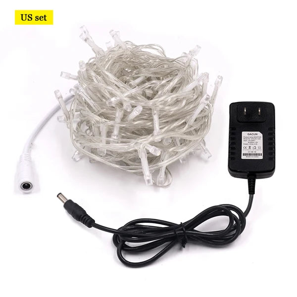 LED Outdoor Christmas Lights