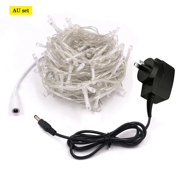 LED Outdoor Christmas Lights