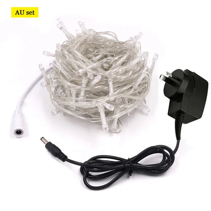 LED Outdoor Christmas Lights