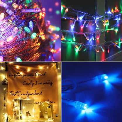 LED Outdoor Christmas Lights