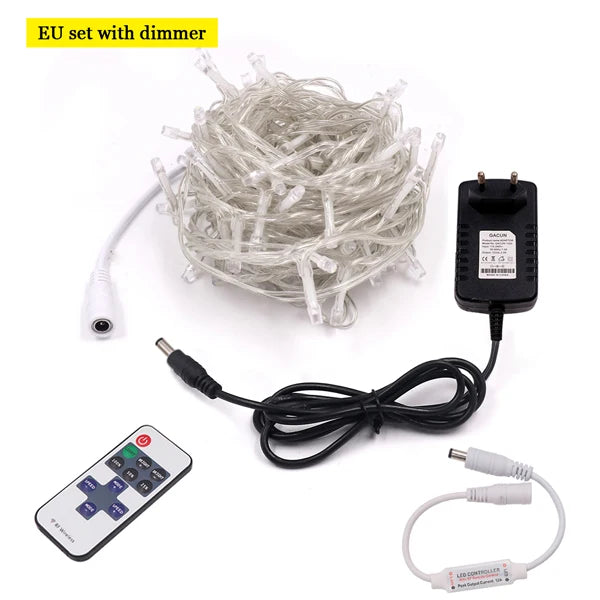 LED Outdoor Christmas Lights
