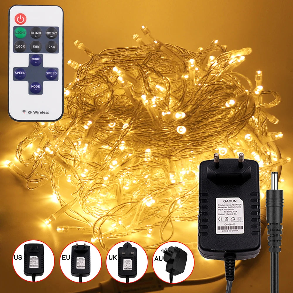 LED Outdoor Christmas Lights