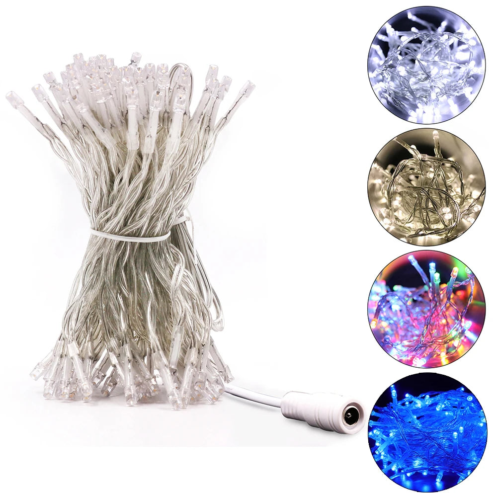 LED Outdoor Christmas Lights