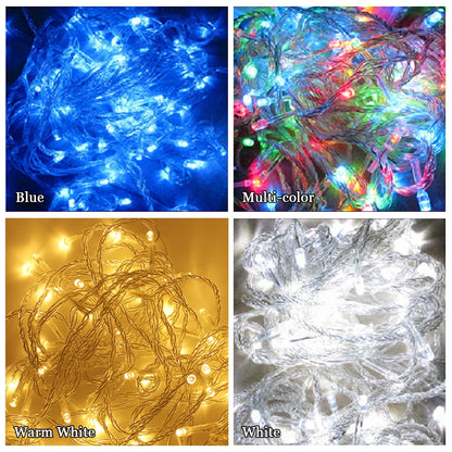 LED Outdoor Christmas Lights