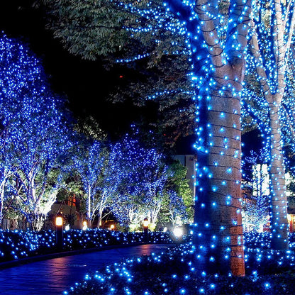 LED Outdoor Christmas Lights