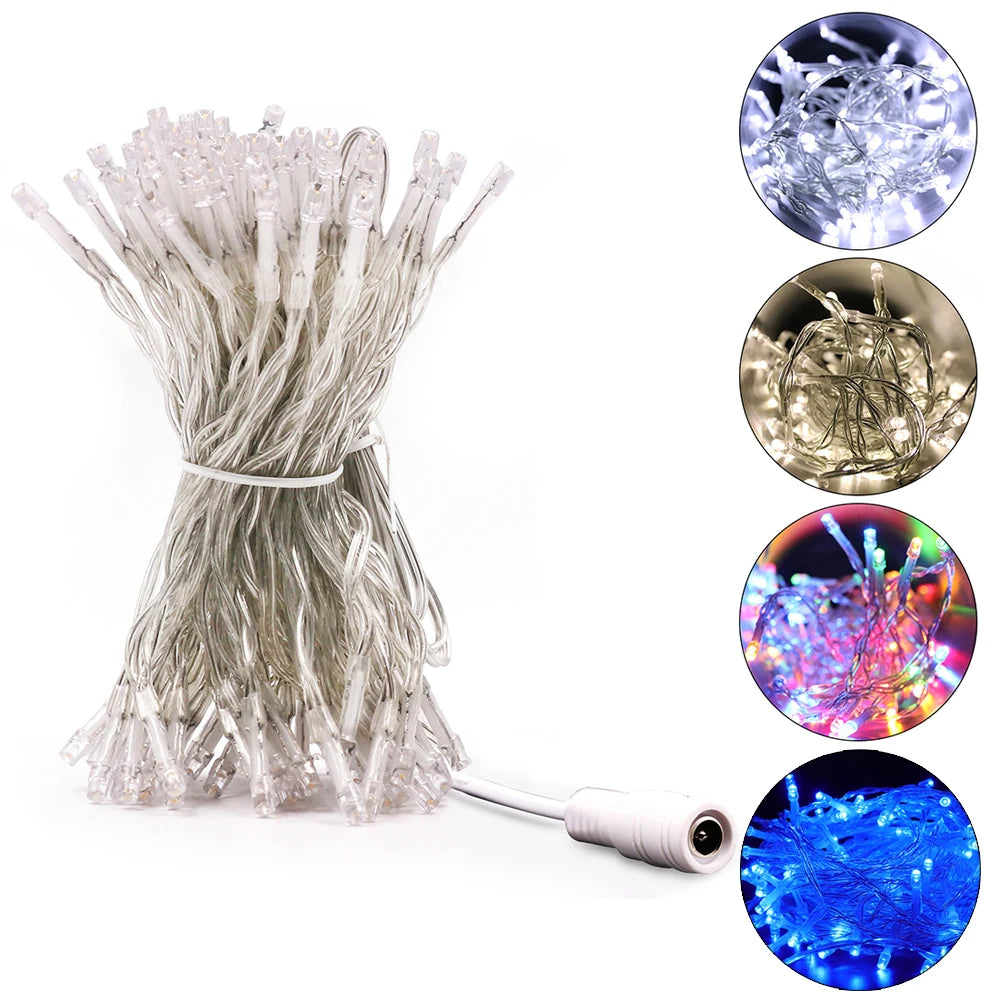 LED Outdoor Christmas Lights