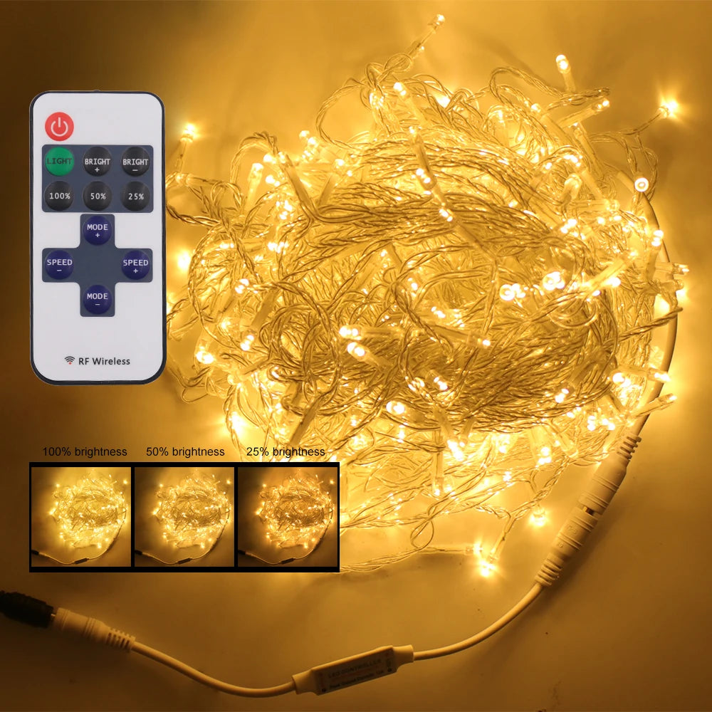 LED Outdoor Christmas Lights