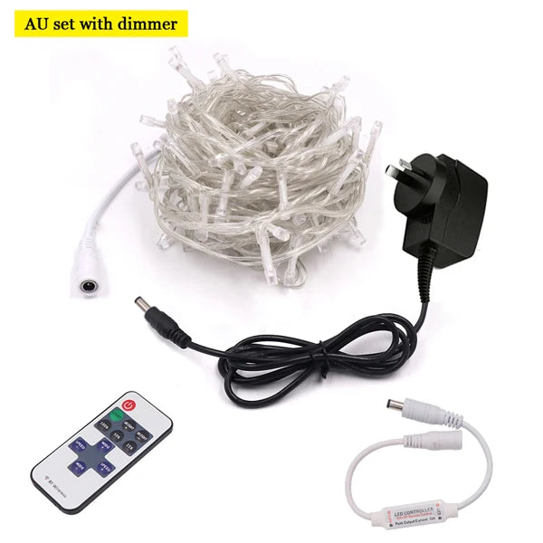 LED Outdoor Christmas Lights