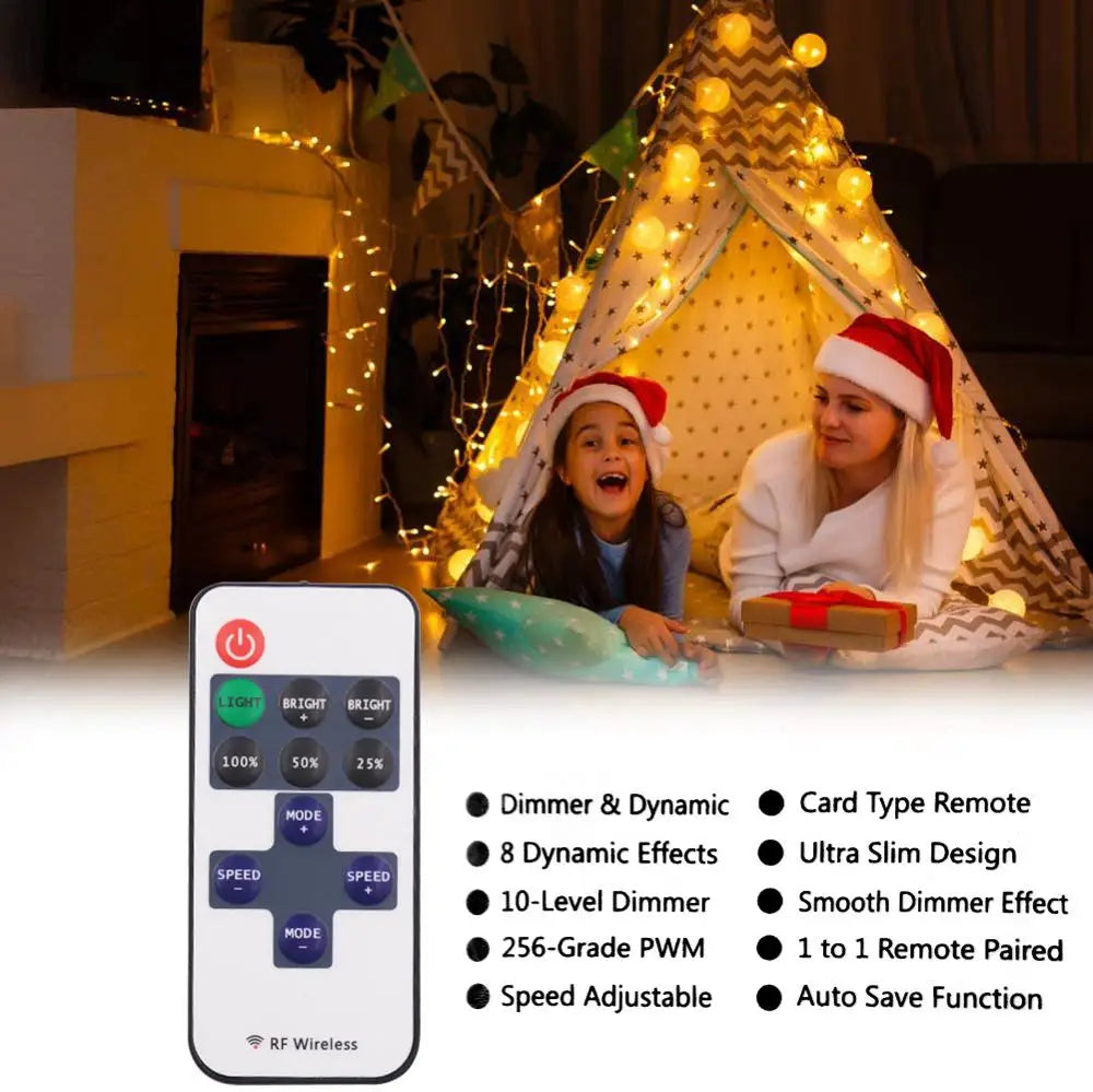 LED Outdoor Christmas Lights