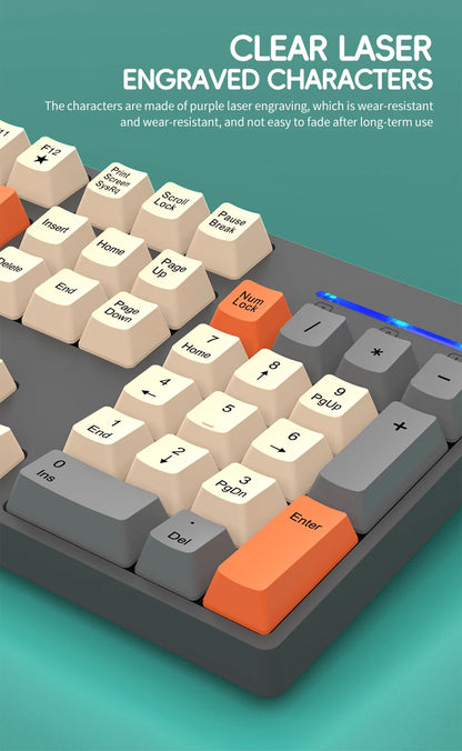Wireless Keyboard and Mouse