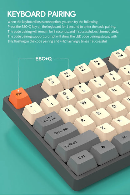 Wireless Keyboard and Mouse