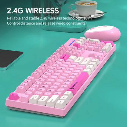 Wireless Keyboard and Mouse